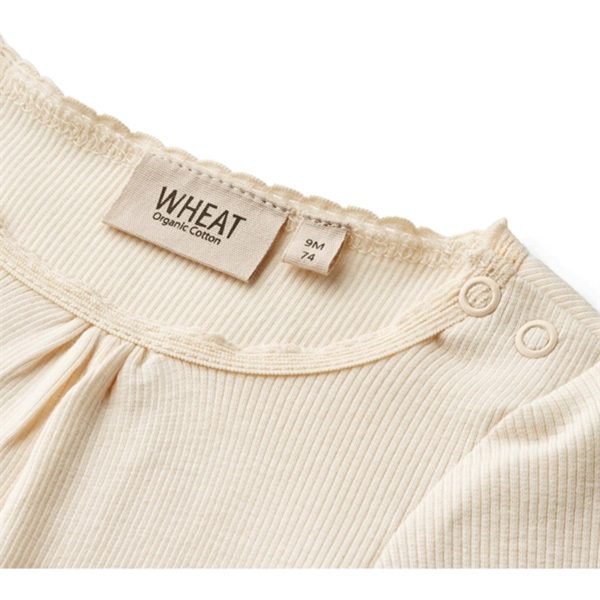 Wheat Cream Rib Body Lotta Online