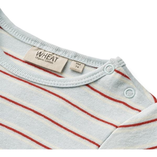 Wheat Light Blue Stripe Body Freddie on Sale