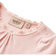 Wheat Rose Ballet Rib Body Lotta Discount