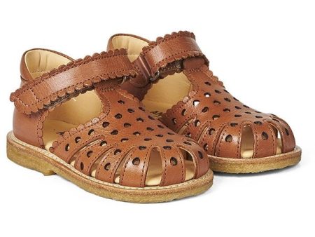 Angulus Begyndersandal M. Velcrolukning Cognac Online