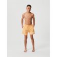 Björn Borg Borg Svømmeshorts Apricot Cream Online Sale