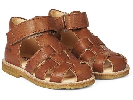 Angulus Begyndersandal M. Velcrolukning Cognac For Discount