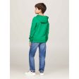 Tommy Hilfiger Essential Hættetrøje Olympic Green Online now