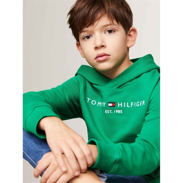 Tommy Hilfiger Essential Hættetrøje Olympic Green Online now