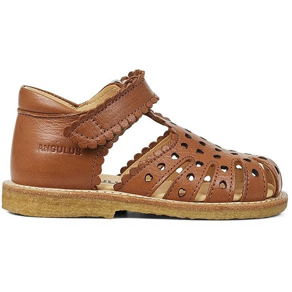 Angulus Begyndersandal M. Velcrolukning Cognac Online