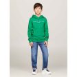 Tommy Hilfiger Essential Hættetrøje Olympic Green Online now