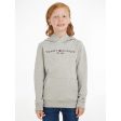 Tommy Hilfiger Essential Hoodie Light Grey Heather Fashion